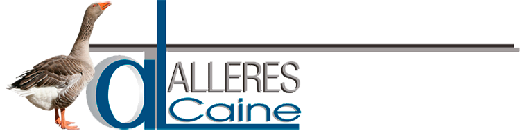 Alcaine